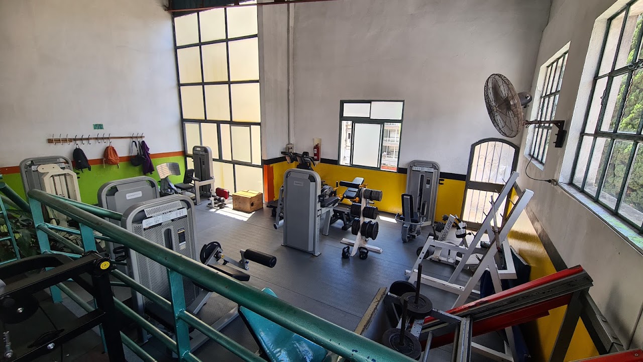 Modern gym interior
